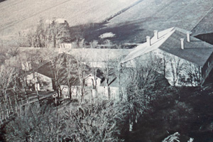 1955